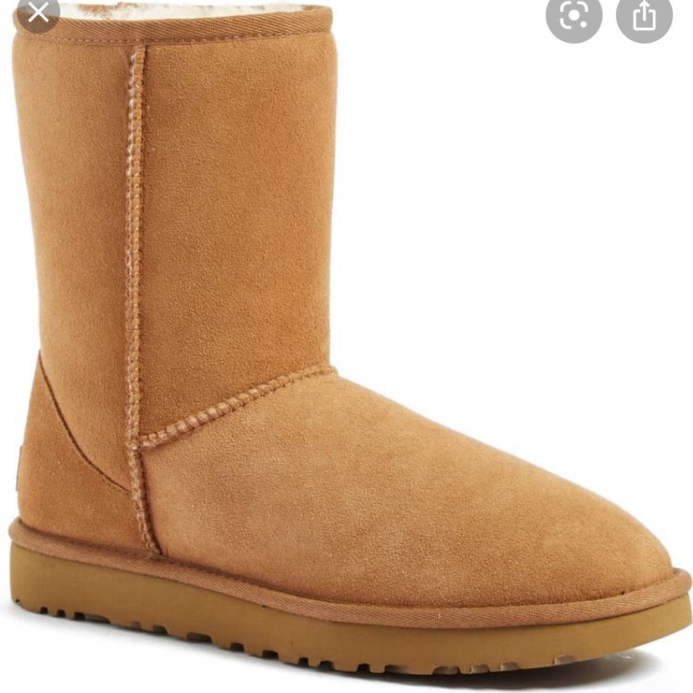 Chestnut Brown Uggs